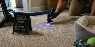 Pet stain and odor treatment for carpets in Lehigh Valley